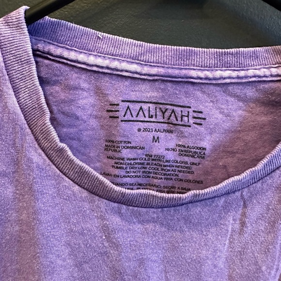 Aaliyah Graphic Shirt | Washed Purple | Medium | NWOT - Picture 3 of 4